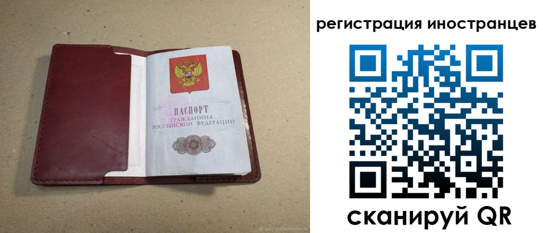 регистрация для школы в Новозыбкове